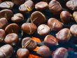 wood-food-produce-fire-nut-grill-chestnuts-hazelnut-chestnut-nuts-seeds-pe-enen-chestnuts-1202246