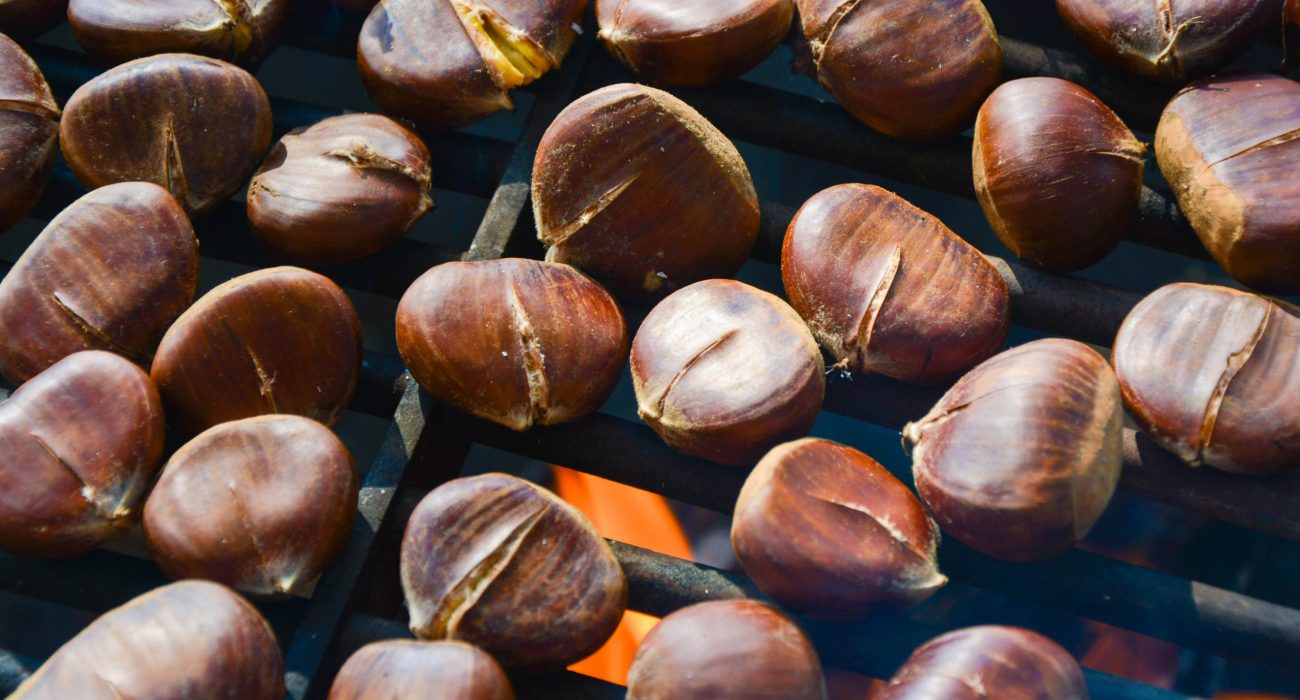wood-food-produce-fire-nut-grill-chestnuts-hazelnut-chestnut-nuts-seeds-pe-enen-chestnuts-1202246