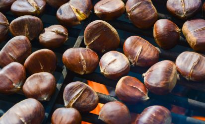 wood-food-produce-fire-nut-grill-chestnuts-hazelnut-chestnut-nuts-seeds-pe-enen-chestnuts-1202246