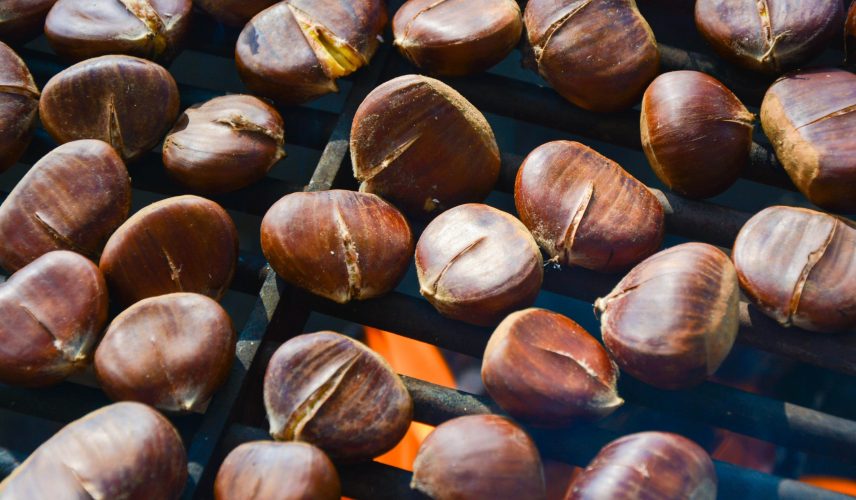 wood-food-produce-fire-nut-grill-chestnuts-hazelnut-chestnut-nuts-seeds-pe-enen-chestnuts-1202246